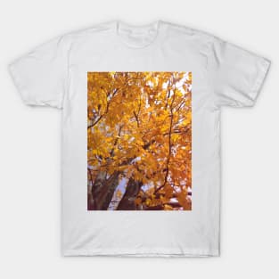 Yellow Autumn Leaves T-Shirt